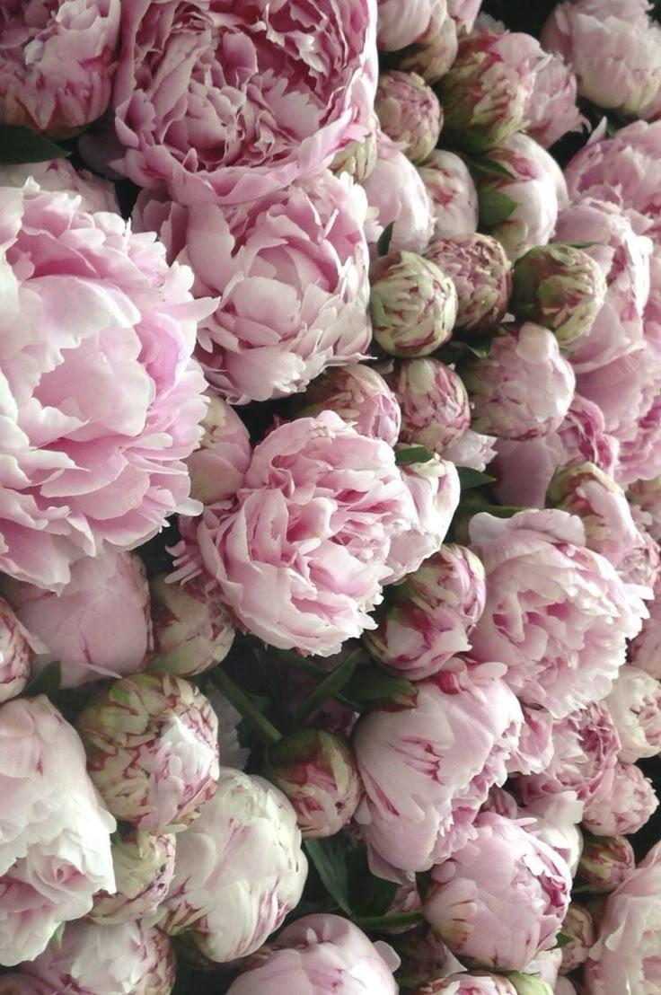 Twilight Serenity Floral Symphony